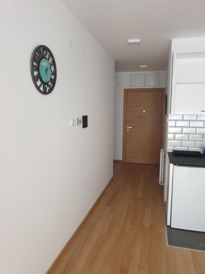 Apartment Iris Novi Sad Bagian luar foto